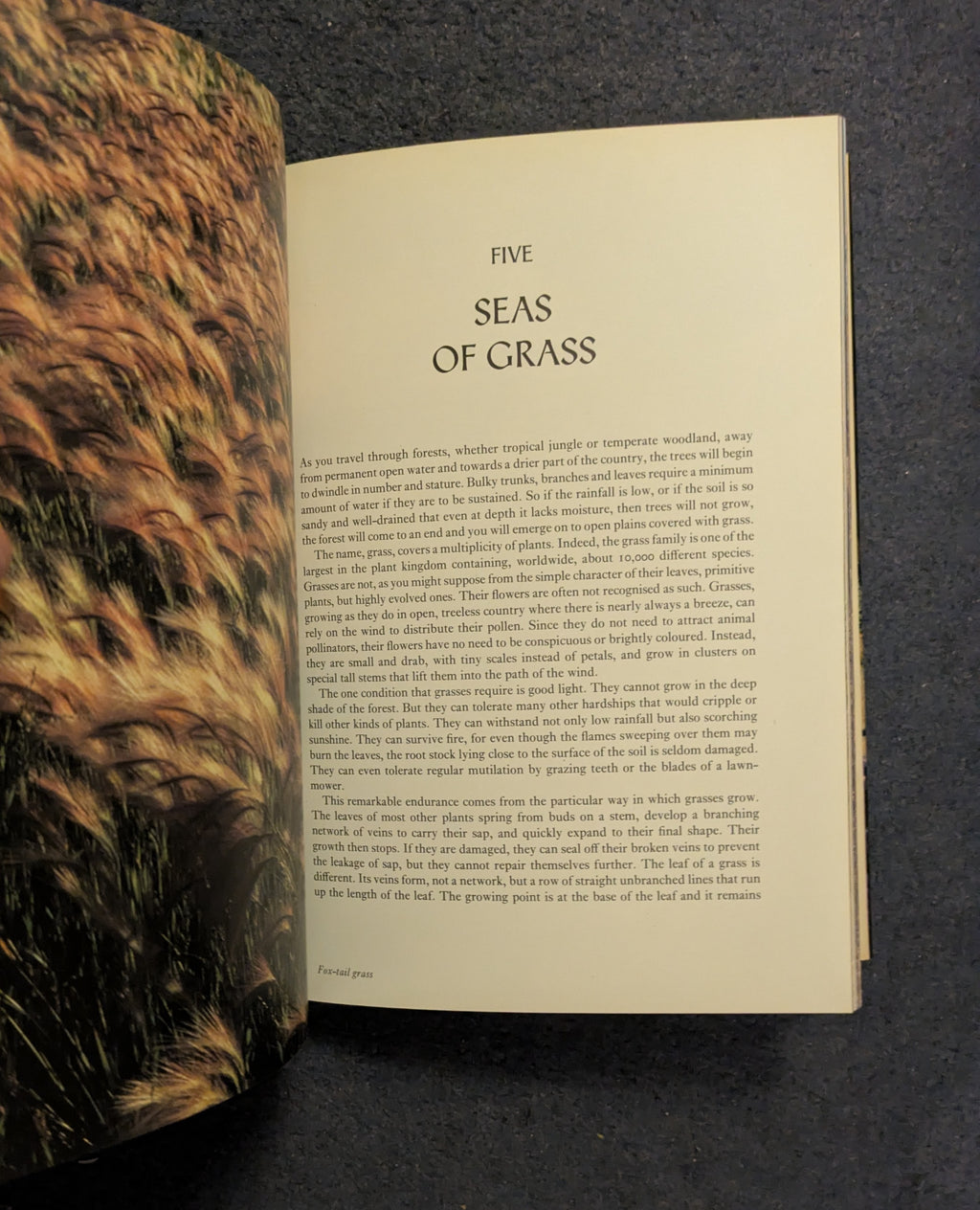 The Living Planet *Signed by Sir David Attenborough*