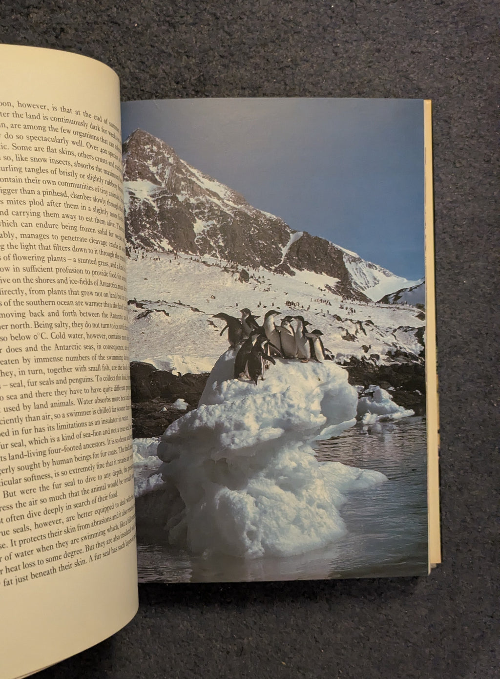 The Living Planet *Signed by Sir David Attenborough*